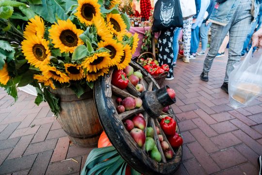 dzień jabłka 033.jpg