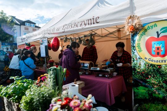 dzień jabłka 032.jpg