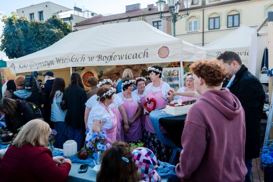 dzień jabłka 034.jpg