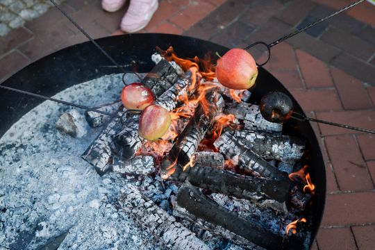 dzień jabłka 040.jpg