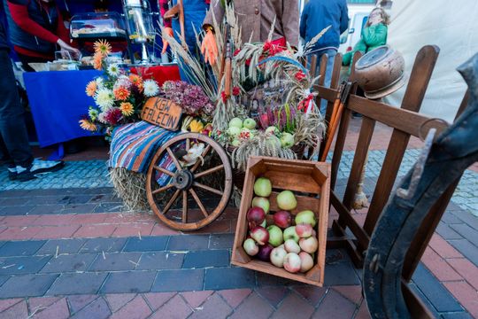 dzień jabłka 042.jpg