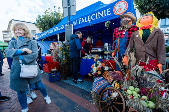 dzień jabłka 043.jpg