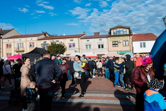 dzień jabłka 045.jpg