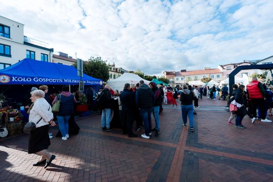 dzień jabłka 046.jpg