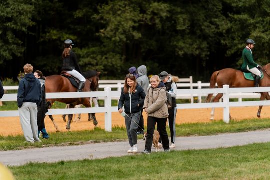 kozłów 012.jpg kozłów 012.jpg