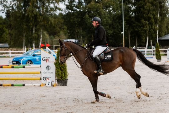 kozłów 007.jpg kozłów 007.jpg