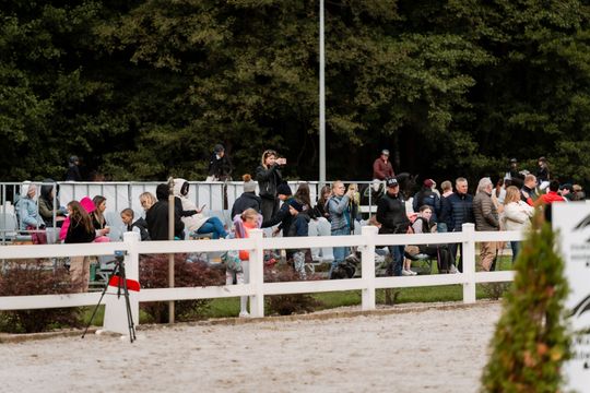 kozłów 005.jpg kozłów 005.jpg