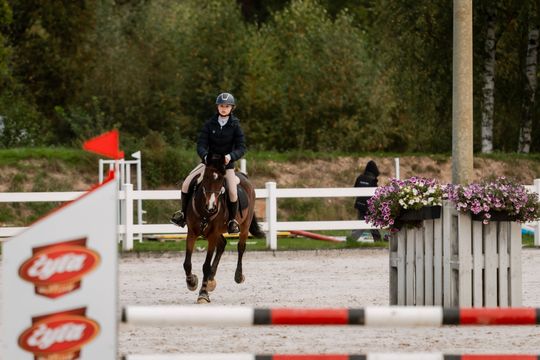 kozłów 014.jpg kozłów 014.jpg