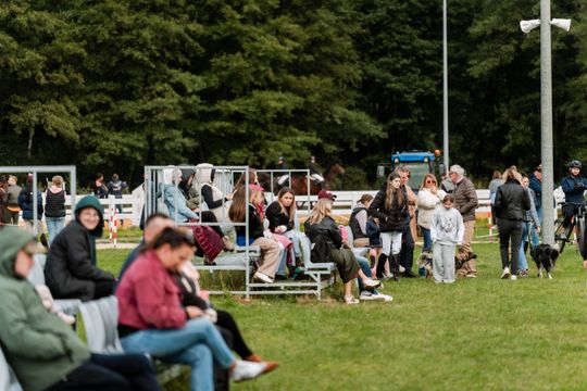 kozłów 011.jpg kozłów 011.jpg