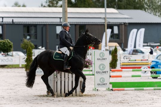 kozłów 020.jpg kozłów 020.jpg