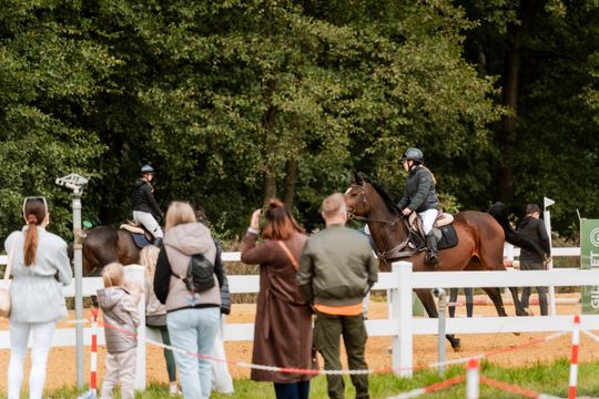 kozłów 018.jpg kozłów 018.jpg