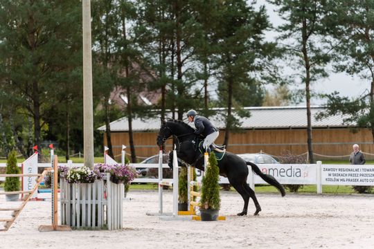 kozłów 022.jpg kozłów 022.jpg