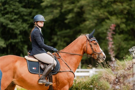 kozłów 023.jpg kozłów 023.jpg