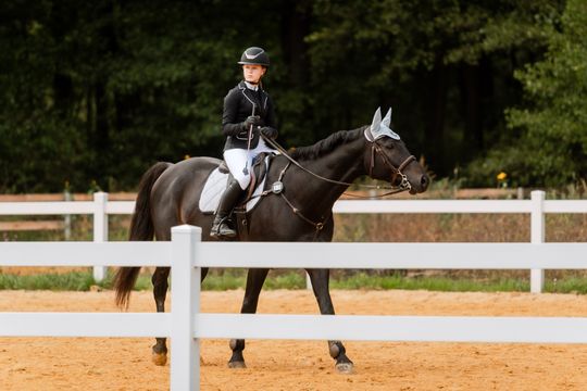 kozłów 025.jpg kozłów 025.jpg