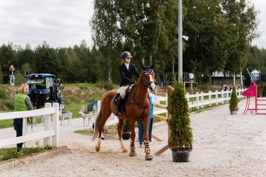 kozłów 030.jpg kozłów 030.jpg