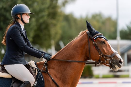 kozłów 031.jpg kozłów 031.jpg