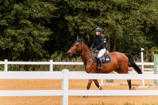 kozłów 034.jpg kozłów 034.jpg