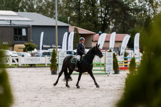 kozłów 035.jpg kozłów 035.jpg