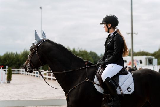 kozłów 036.jpg kozłów 036.jpg