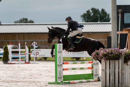 kozłów 038.jpg kozłów 038.jpg