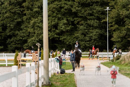 kozłów 040.jpg kozłów 040.jpg