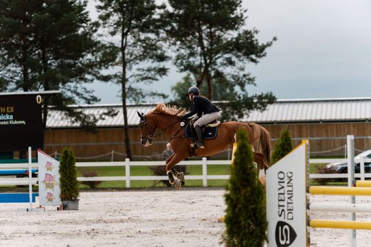 kozłów 042.jpg kozłów 042.jpg