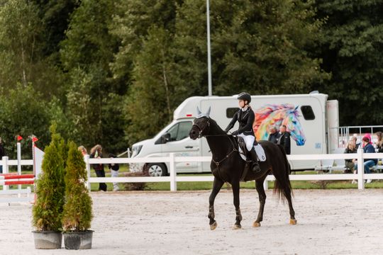 kozłów 043.jpg kozłów 043.jpg