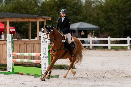 kozłów 045.jpg kozłów 045.jpg