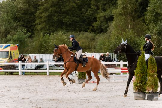 kozłów 044.jpg kozłów 044.jpg