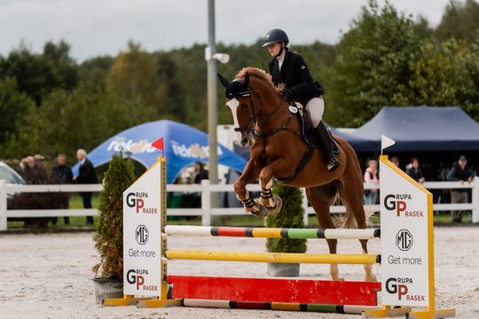 kozłów 054.jpg kozłów 054.jpg