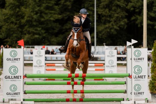 kozłów 056.jpg kozłów 056.jpg