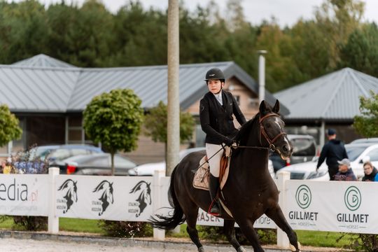 kozłów 060.jpg kozłów 060.jpg