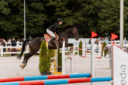 kozłów 059.jpg kozłów 059.jpg