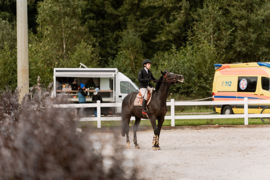 kozłów 062.jpg kozłów 062.jpg