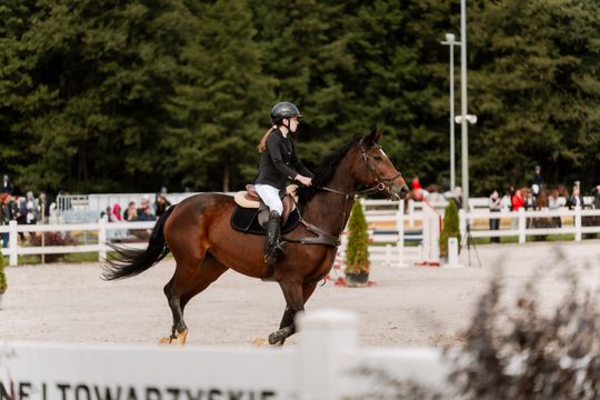 kozłów 063.jpg kozłów 063.jpg