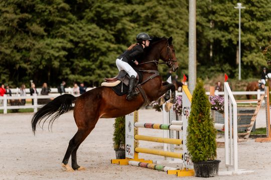 kozłów 067.jpg kozłów 067.jpg