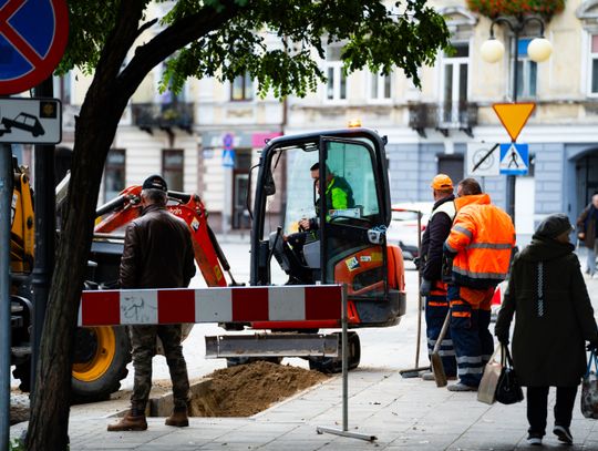 Przygotowanie gruntu pod nowe nasadzenia na ul. Piłsudkiego (zdjęcia)
