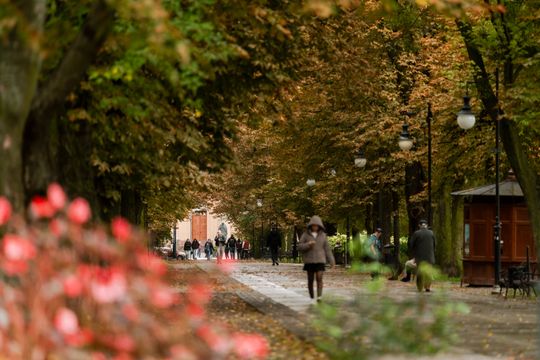 Marsz Życia i Nadziei 004.jpg