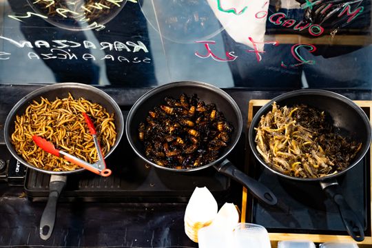 Festiwal Kuchni i Kultury Azjatyckiej (zdjęcia)