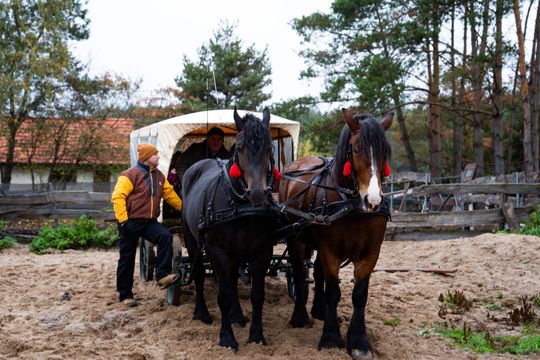 Hubertus 2025 - Święto jeździectwa i przyjaźni ze zwięrzętami w stajni Carino (zdjęcia)