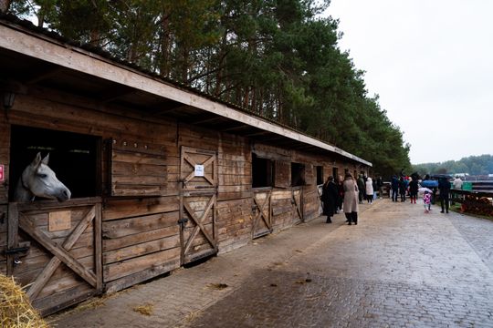 Hubertus 2025 - Święto jeździectwa i przyjaźni ze zwięrzętami w stajni Carino (zdjęcia)