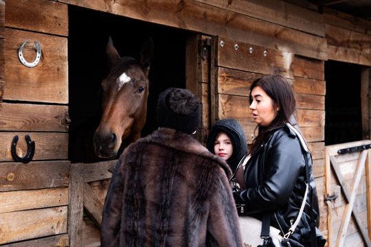 Hubertus 2025 - Święto jeździectwa i przyjaźni ze zwięrzętami w stajni Carino (zdjęcia)