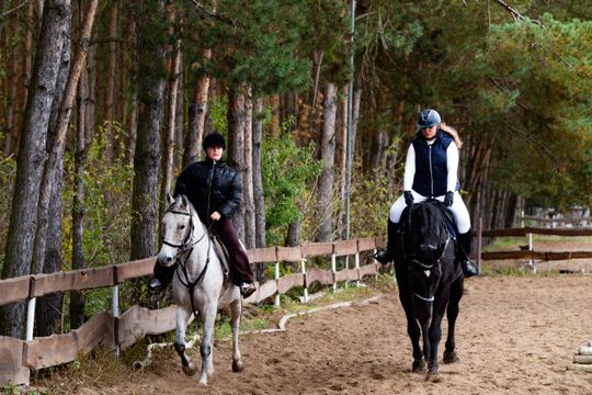 Hubertus 2025 - Święto jeździectwa i przyjaźni ze zwięrzętami w stajni Carino (zdjęcia)