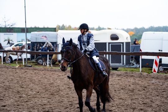 Hubertus 2025 - Święto jeździectwa i przyjaźni ze zwięrzętami w stajni Carino (zdjęcia)