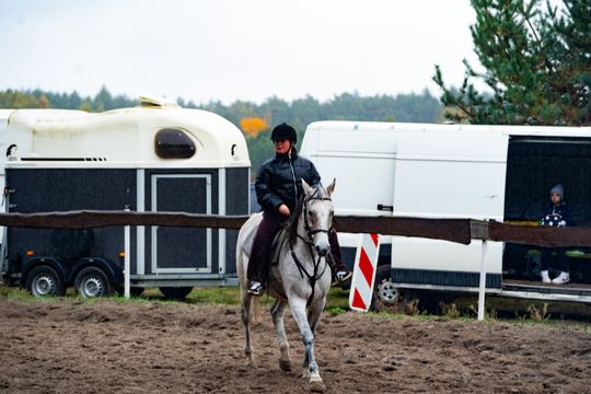 Hubertus 2025 - Święto jeździectwa i przyjaźni ze zwięrzętami w stajni Carino (zdjęcia)