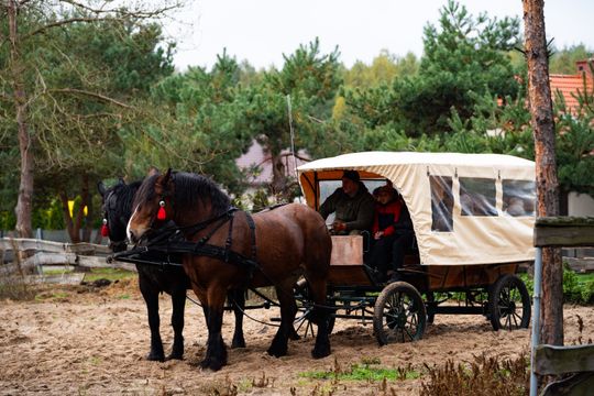 Hubertus 2025 - Święto jeździectwa i przyjaźni ze zwięrzętami w stajni Carino (zdjęcia)
