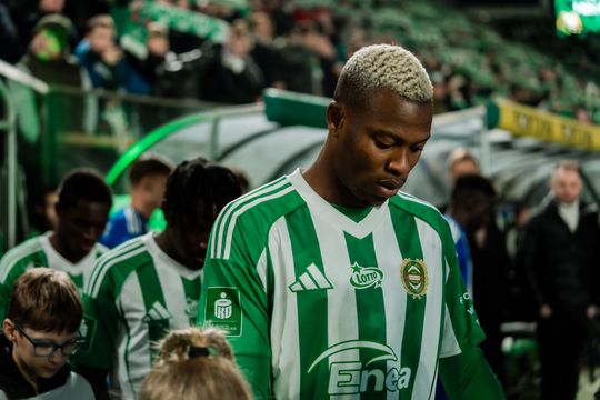 Radomiak Radom 005.jpg