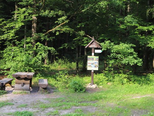 Góra Altana - najwyższa na Mazowszu