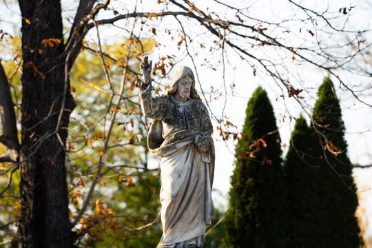 DSC00232.JPG DSC00232.JPG