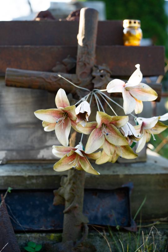 DSC00238.JPG DSC00238.JPG